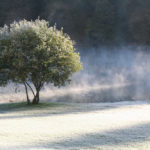 Lake Genin after the first frost