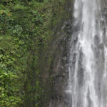 L'une des Chutes du Carbet