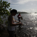 Mélanie and Marie study seagrass